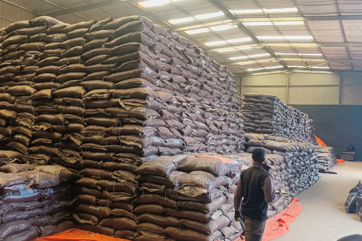 Large warehouse with stacks of sacks and people at work.