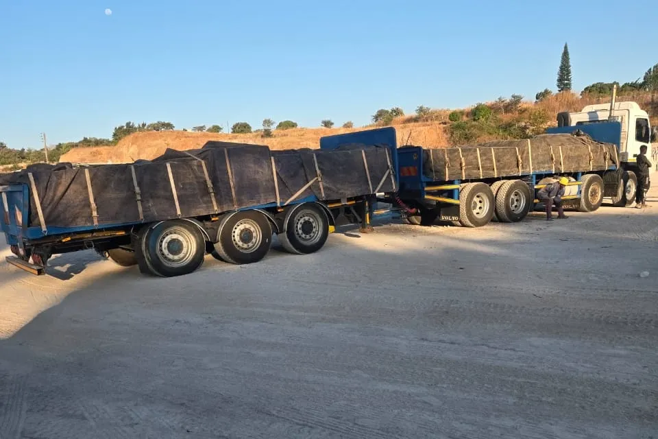 Blue flatbed trailers with sheeted loads parked in a yard.